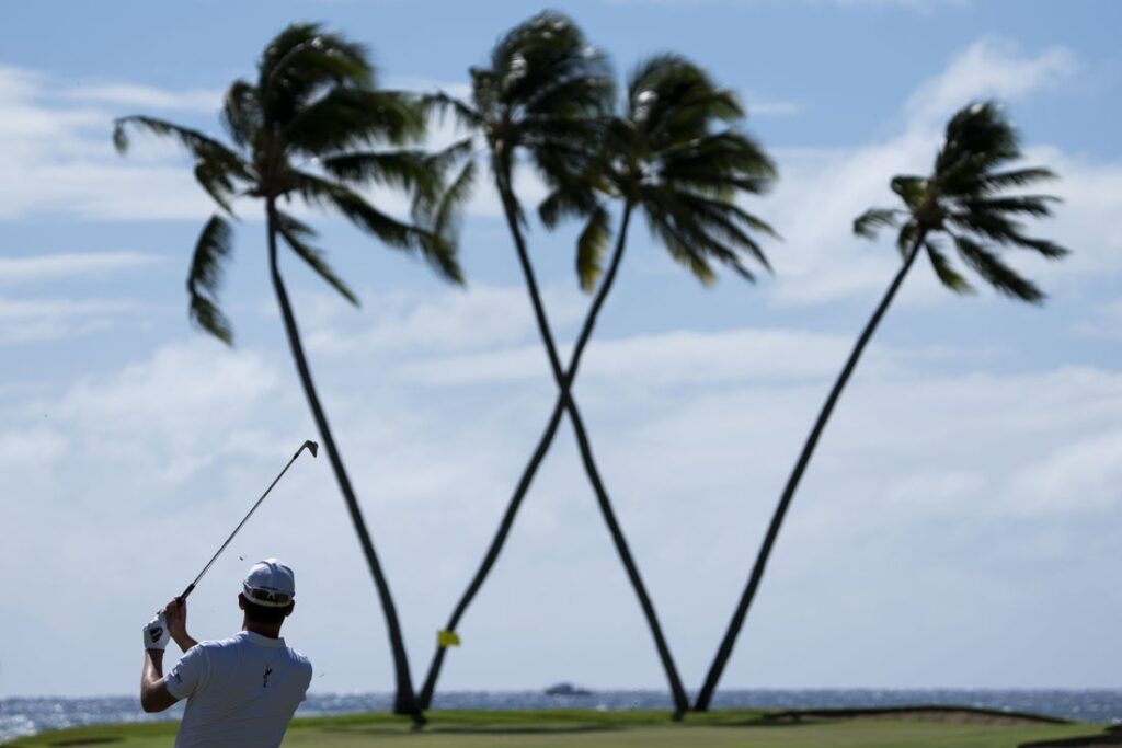 25176100-1024x683 Parched Kapalua closing for 60 days with PGA Tour’s Sentry in mind