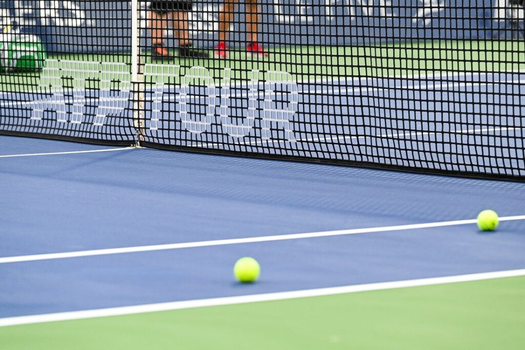 18838763-1024x682 Marton Fucsovics wins third career title at Winston-Salem Open