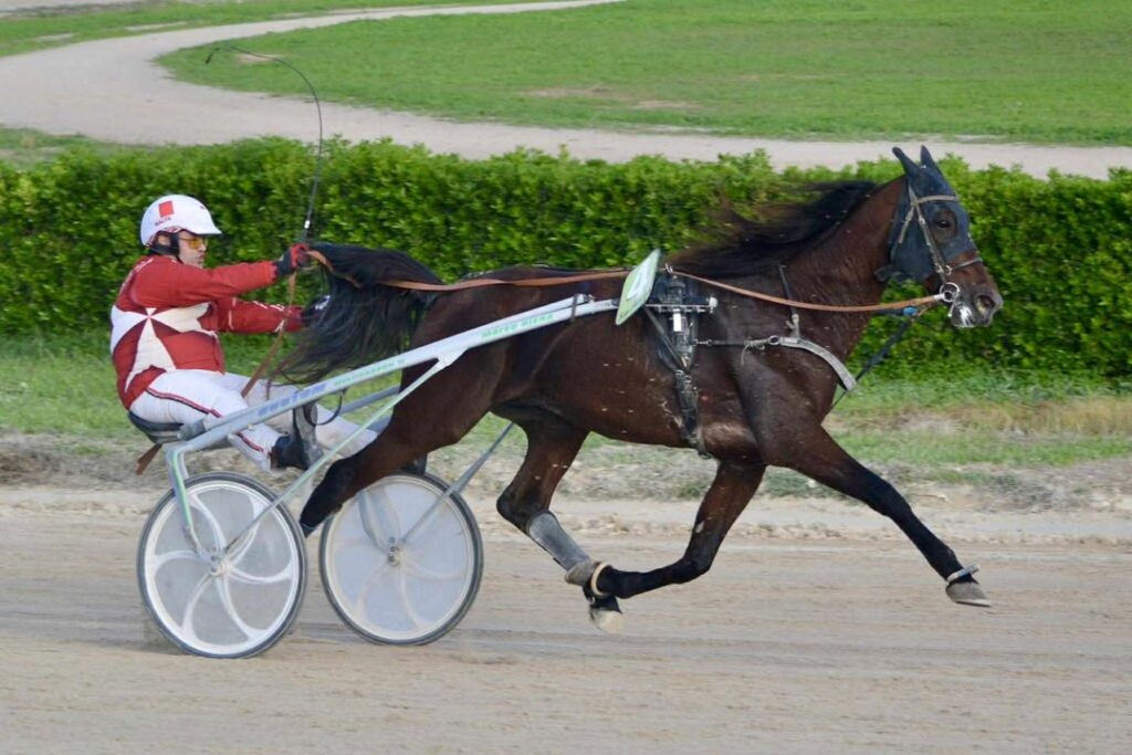 Photo-by-Maria-Roser-Sureda-Terrades-1024x683 Denilson Cortis proudly represents Malta at UET Apprentices Championship in Mallorca