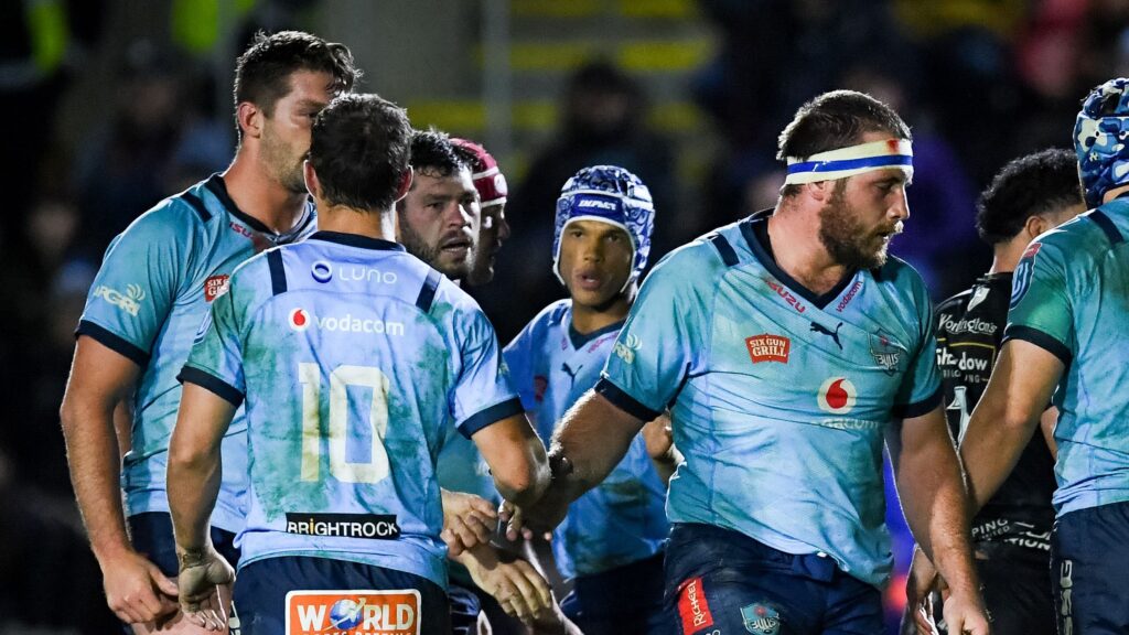 SH_13700825aj-Copy-1024x576 Bulls coach Johan Ackermann responds to president’s criticism, calls for unity and composure