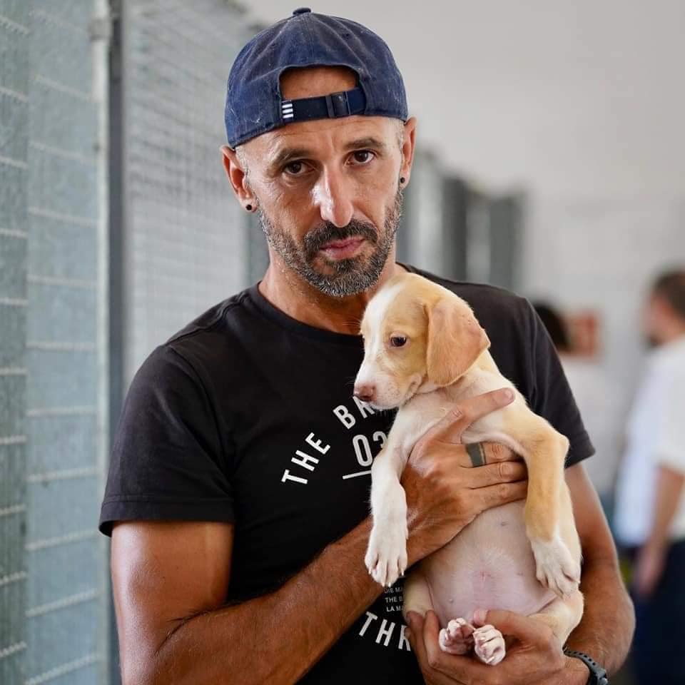 471675743_122173827470269914_7753906892573968347_n Fabio Spiteri to tackle third Deca Ultra Triathlon in Taiwan in support of animal shelters