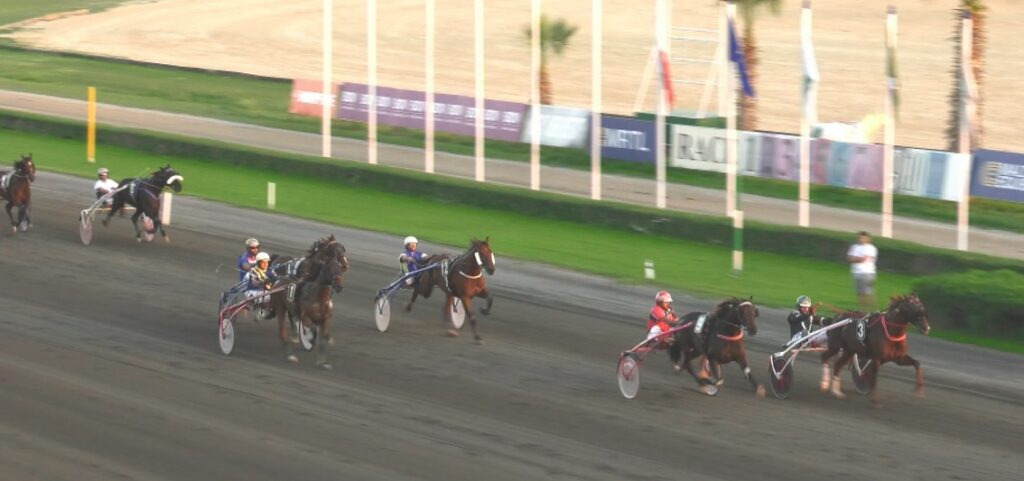 horses-rez--1024x481 Full programme announced for Sunday’s Horse Racing Meeting