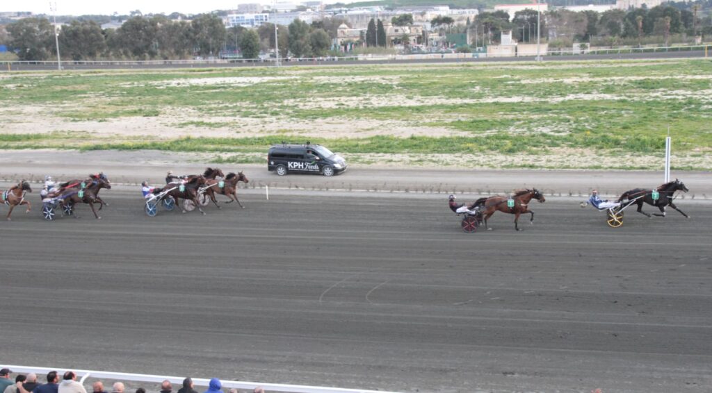 WhatsApp-Image-2026-03-01-at-20.06.25-1024x566 DJ Spritz Smashes Record to Claim EquestriMalta President’s Cup