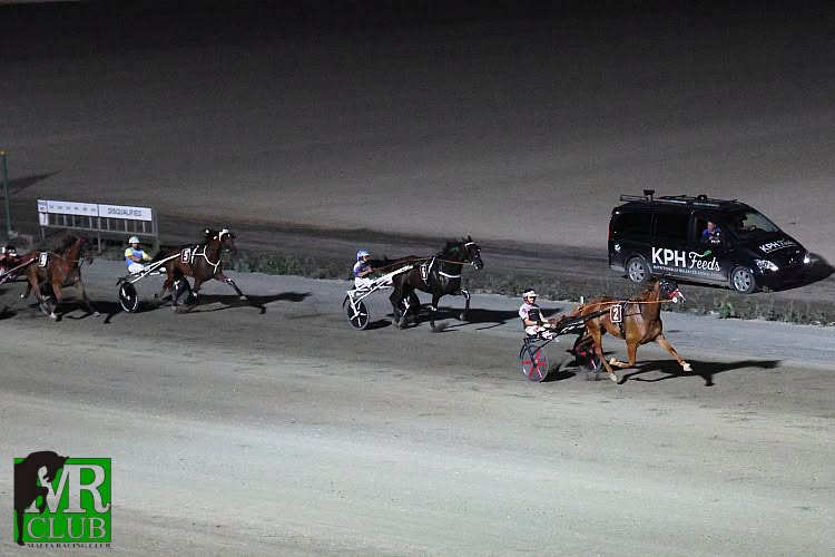 horses Horse Racing: Hudo Du Ruel, Doudou De Bouere, and Kamila Des Monts Triumph in French Finals at Marsa